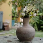 Casa De Noca Paqueta